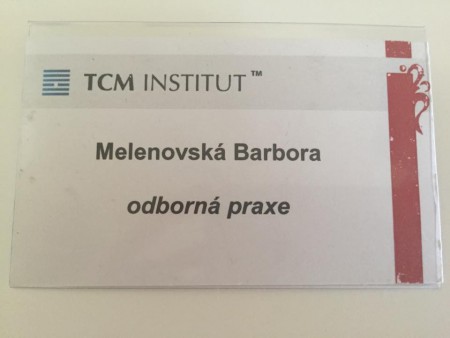 praxe TCM INSTITUT